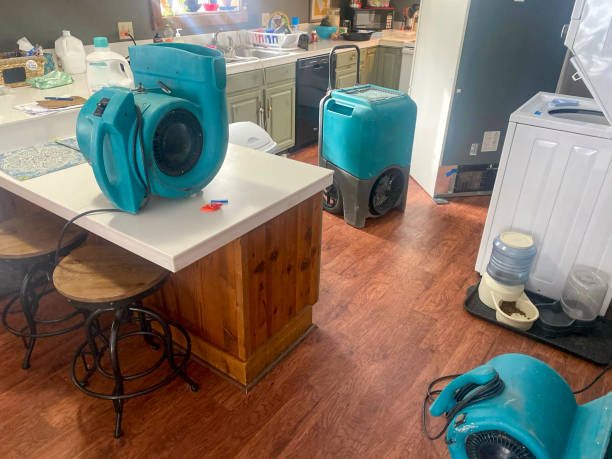 Best Ceiling water damage repair  in Hooks, TX