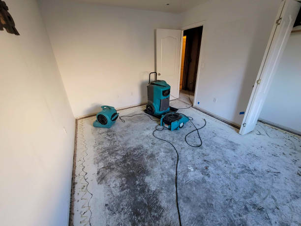 Best 24-hour water damage restoration  in Hooks, TX