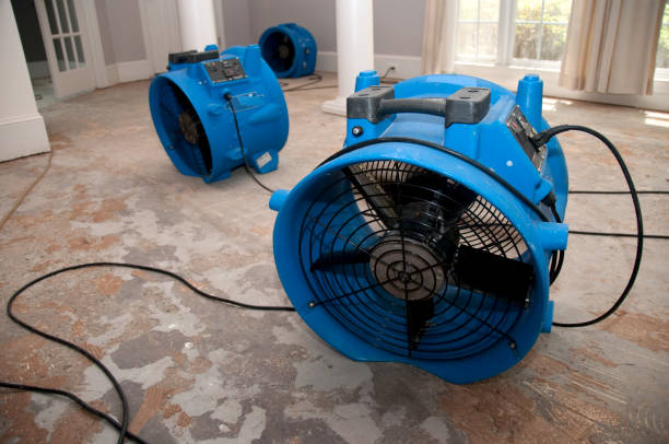 Best 24-hour water damage restoration  in Hooks, TX