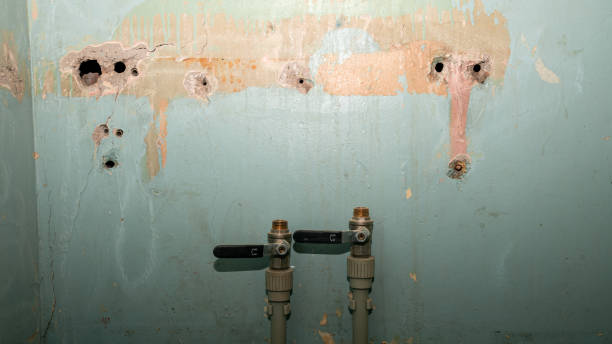 Best Residential water damage restoration  in Hooks, TX