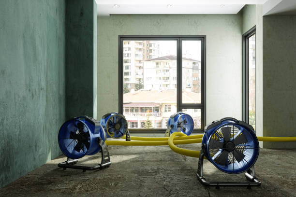 Best Sewage cleanup and water damage restoration  in Hooks, TX